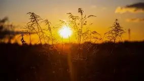 Zachód przy zwalony moście i jeziorze Patelnia, Kruklanki 03.2020 - zdjęcie 4