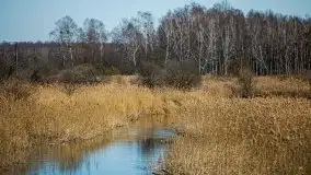 Jezioro Białoławki w marcowym słońcu - zdjęcie 18