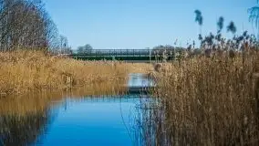 Jezioro Białoławki w marcowym słońcu - zdjęcie 23