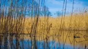 Jezioro Białoławki w marcowym słońcu - zdjęcie 22