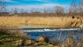 Jezioro Białoławki w marcowym słońcu - zdjęcie 25