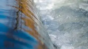 Jezioro Białoławki w marcowym słońcu - zdjęcie 28