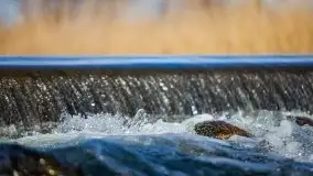 Jezioro Białoławki w marcowym słońcu - zdjęcie 36