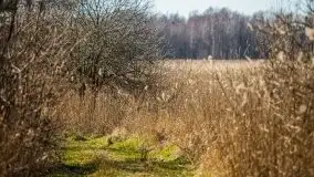 Jezioro Białoławki w marcowym słońcu - zdjęcie 33