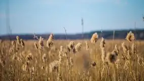 Jezioro Białoławki w marcowym słońcu - zdjęcie 35