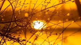 Piaski i jezioro Bełdany w marcowym słońcu - zdjęcie 25