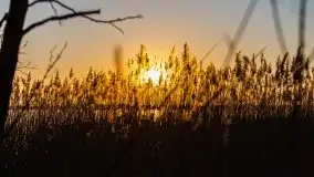 Kal i jezioro Mamry w marcowym słońcu - zdjęcie 8