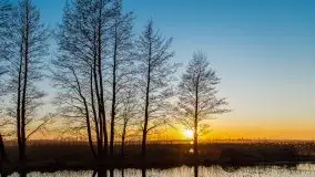 Kal i jezioro Mamry w marcowym słońcu - zdjęcie 31