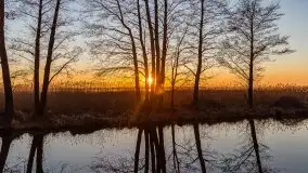 Kal i jezioro Mamry w marcowym słońcu - zdjęcie 13