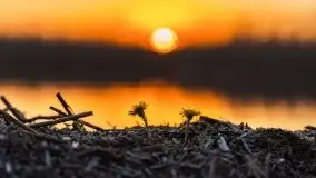 Kal i jezioro Mamry w marcowym słońcu - zdjęcie 37