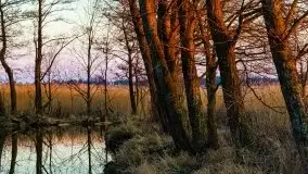 Kal i jezioro Mamry w marcowym słońcu - zdjęcie 39