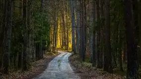 Jezioro Wesołek w marcu 2020 - zdjęcie 40