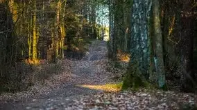 Jezioro Wesołek w marcu 2020 - zdjęcie 39