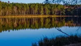 Jezioro Wesołek w marcu 2020 - zdjęcie 35