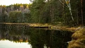 Jezioro Wesołek w marcu 2020 - zdjęcie 29