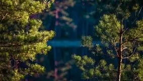 Jezioro Wesołek w marcu 2020 - zdjęcie 15