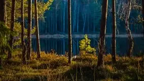 Jezioro Wesołek w marcu 2020 - zdjęcie 14