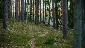 Jezioro Wesołek w marcu 2020 - zdjęcie 6