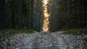 Jezioro Wesołek w marcu 2020 - zdjęcie 4