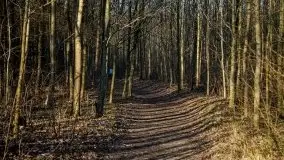 Mamerki i okolice pod koniec marca 2020 - zdjęcie 4