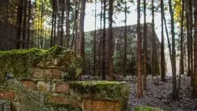 Mamerki i okolice pod koniec marca 2020 - zdjęcie 16