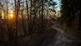 Śluza w Leśniewie w kolorach zachodzącego słońca - zdjęcie 42