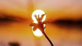 Wschód nad jeziorem Stręgielek, marzec 2020 - zdjęcie 18