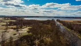 Kanał Szymoński w marcu 2020 - zdjęcie 31