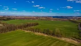 Kanał Szymoński w marcu 2020 - zdjęcie 22