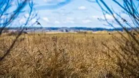 Kanał Szymoński w marcu 2020 - zdjęcie 6