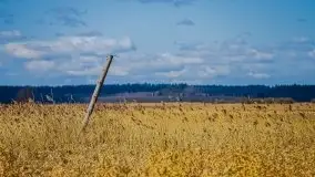 Kanał Szymoński w marcu 2020 - zdjęcie 9