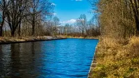 Kanał Szymoński w marcu 2020 - zdjęcie 4