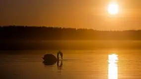 Pierkunowo i jezioro Kisajno w kwietniowym słońcu - zdjęcie 33