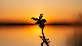 Pierkunowo i jezioro Kisajno w kwietniowym słońcu - zdjęcie 41