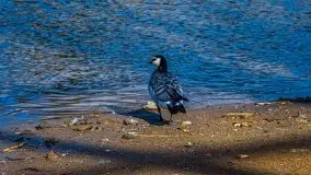 Pisz w kwietniowych promieniach słońca - zdjęcie 29