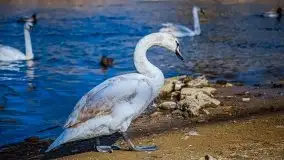 Pisz w kwietniowych promieniach słońca - zdjęcie 27