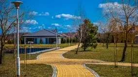 Pisz w kwietniowych promieniach słońca - zdjęcie 73