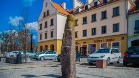 Pisz w kwietniowych promieniach słońca - zdjęcie 108