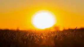 Odkrywamy na Mazurach jezioro Gawlik i Sołtmany - zdjęcie 34