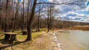 Śluza Karwik na początku kwietnia 2020 - zdjęcie 29