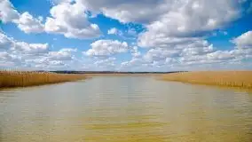 Śluza Karwik na początku kwietnia 2020 - zdjęcie 35