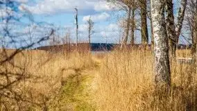 Śluza Karwik na początku kwietnia 2020 - zdjęcie 38