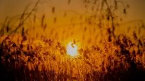 Zachód słońca nad jeziorem Kruklin - zdjęcie 22