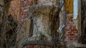 Ruiny Pałacu w Mieduniszkach Wielkich - zdjęcie 26