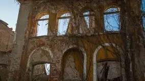 Ruiny Pałacu w Mieduniszkach Wielkich - zdjęcie 27