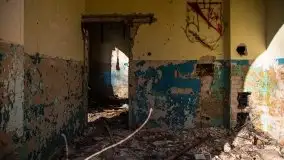 Ruiny Pałacu w Mieduniszkach Wielkich - zdjęcie 42