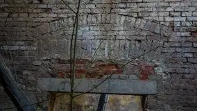 Ruiny Pałacu w Mieduniszkach Wielkich - zdjęcie 48