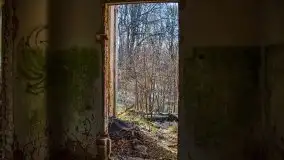 Ruiny Pałacu w Mieduniszkach Wielkich - zdjęcie 53