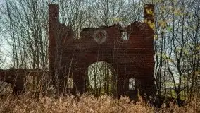 Ruiny Pałacu w Mieduniszkach Wielkich - zdjęcie 66