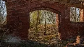 Ruiny Pałacu w Mieduniszkach Wielkich - zdjęcie 67